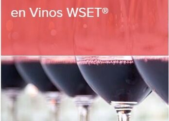 Curso Nivel 1 en Vinos WSET® online (sólo inglés)