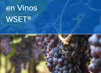 Curso Nivel 2 en Vinos WSET® online (sólo inglés)