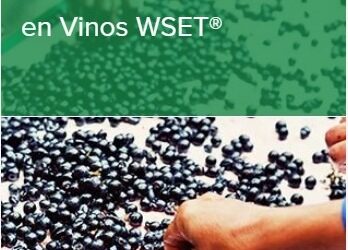 Curso Nivel 3 en Vinos WSET®