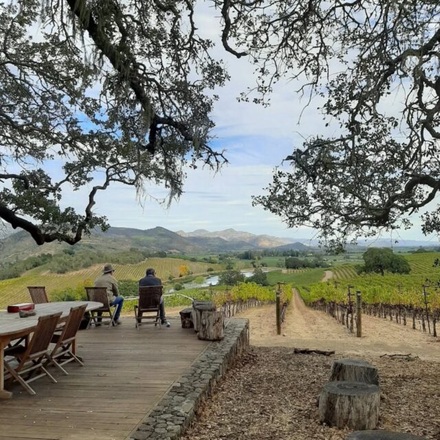 Hoy había una noticia de cambio de enólogo en #quintessawinery (una viña en #napavalley fundada por un chileno). Eso trajo buenas memorias de un viaje que hicimos en MasteringWine el 2021 ! #winesofchile #wset1 #wset2 #vinosdechile #cursosdevino #sommelierdechile
